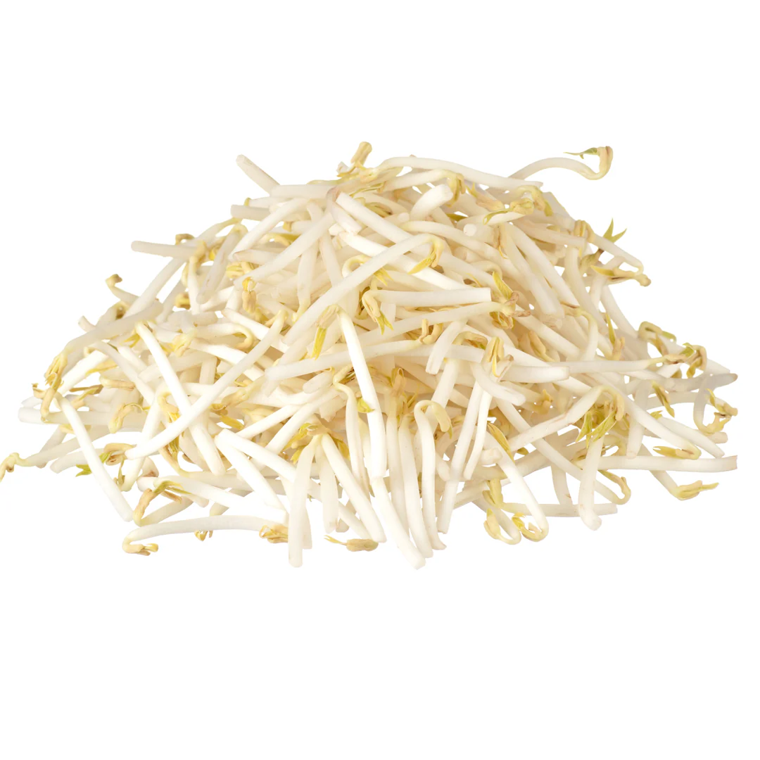 Fresh Beansprouts 300gr