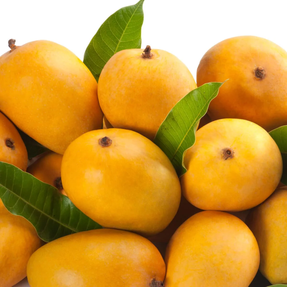 Baby Mango 1kg - Image 2