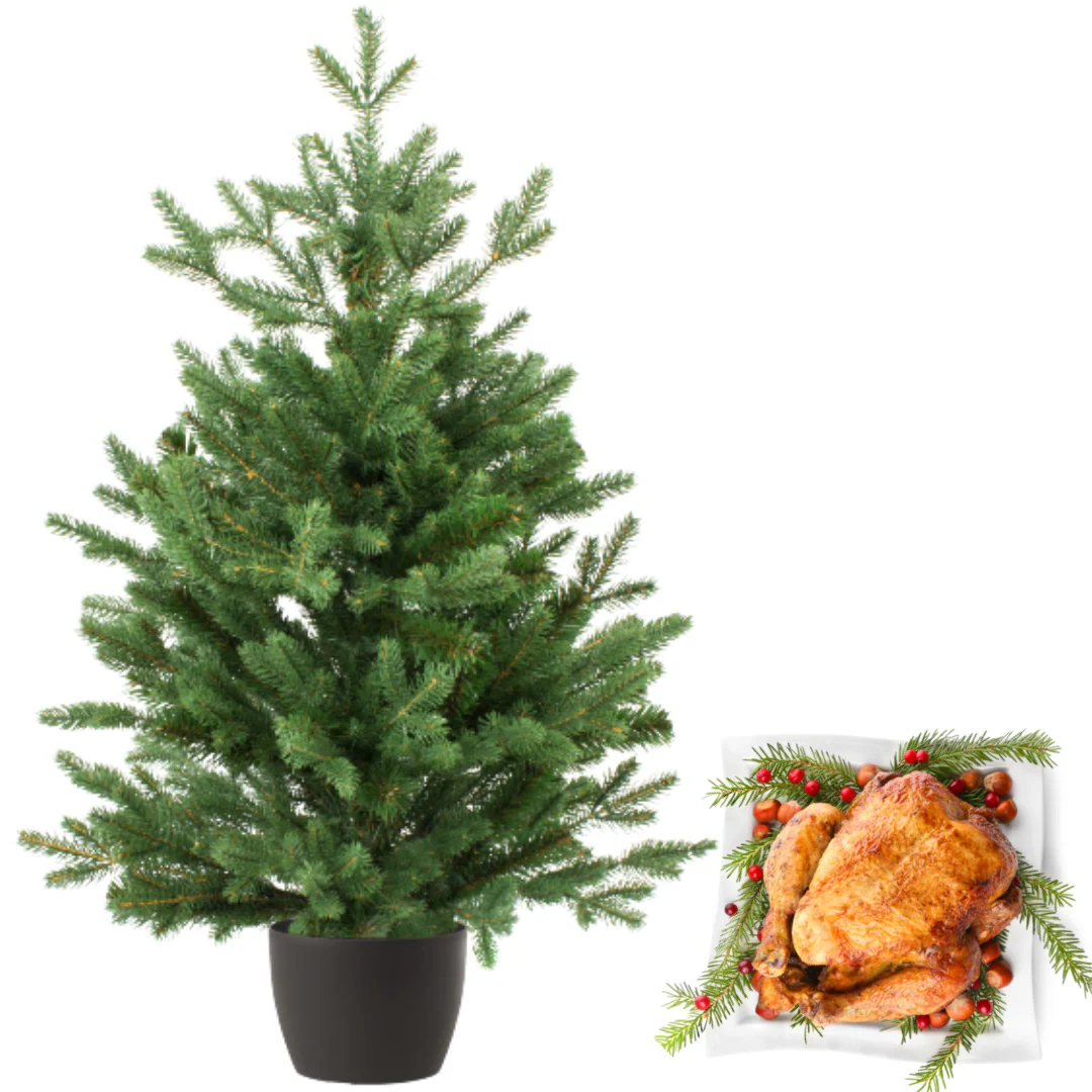 Real and Live Christmas Tree 3/5 ft with Whole British Turkey Hamper Gift Box