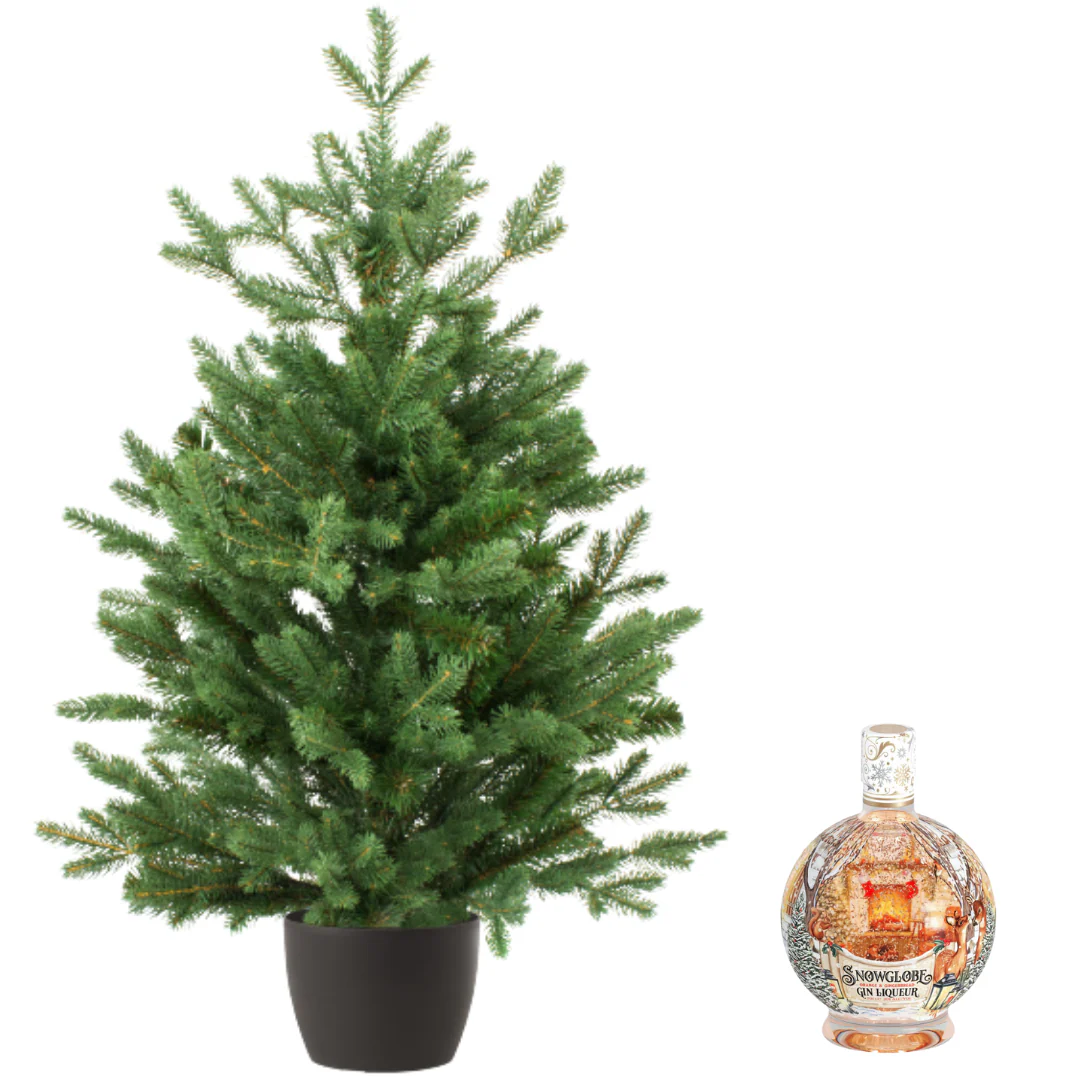 Real and Live Christmas Tree 5/6 ft with Snowglobe Gin Liqueur Hamper Gift Box