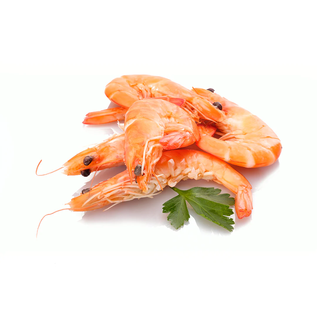 Frozen Cooked Crevettes 1kg x 10 Packs (30-40 per kg)