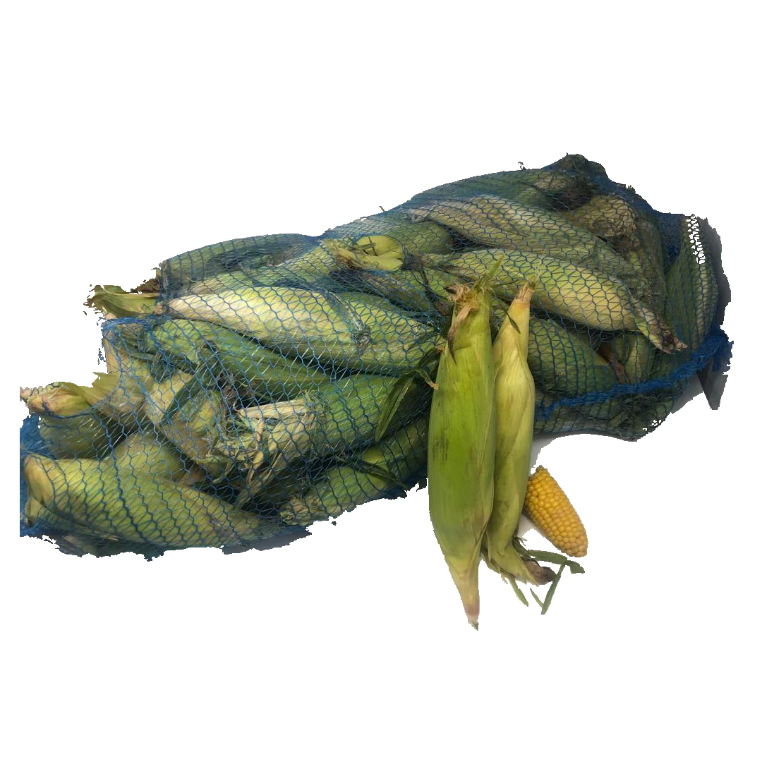 Bag of Fresh Corn on the Cob 60 units | Husk On