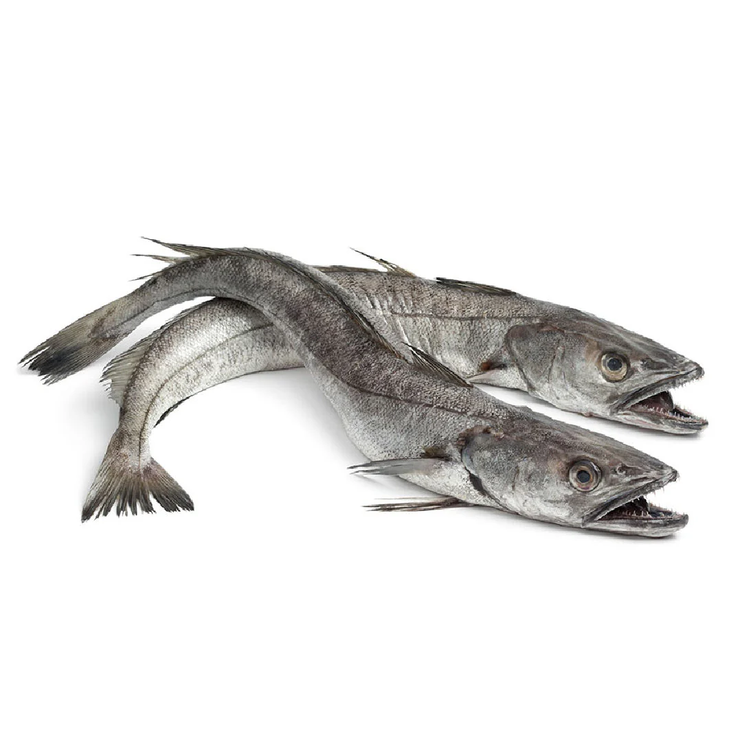 Hake Fish Wholesale