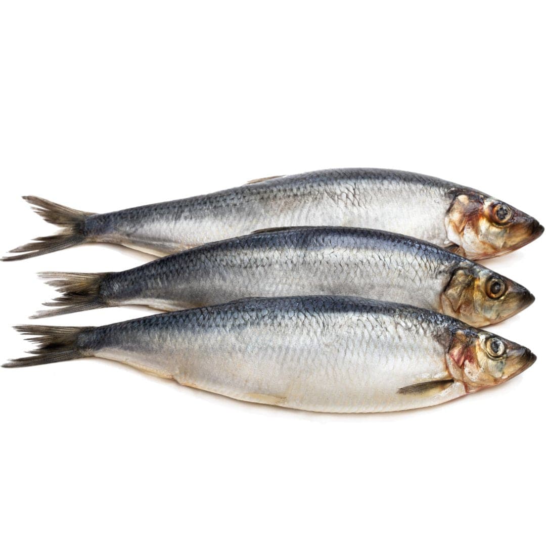 Herring 1 kg