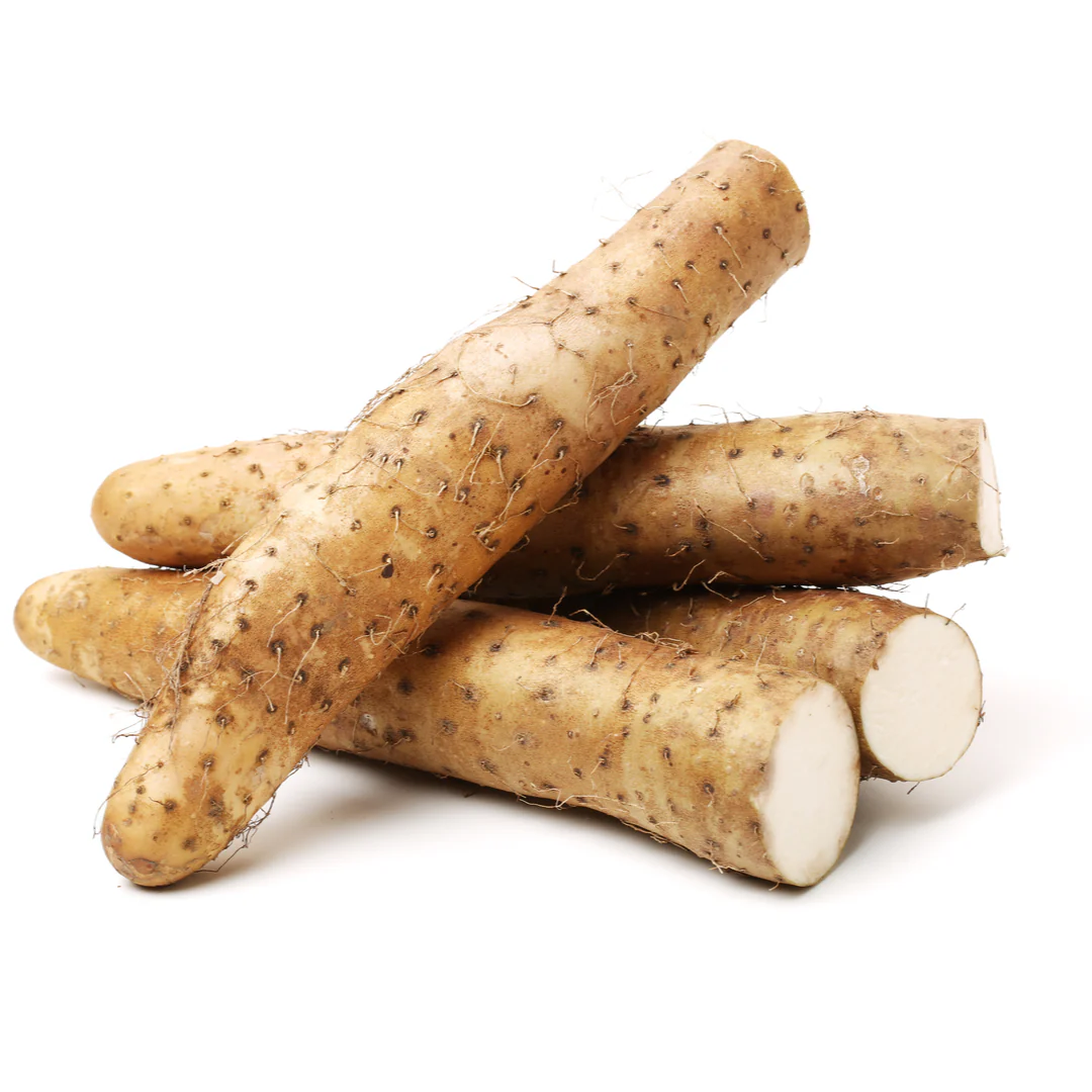 Fresh Iron Roll Nagnimo Root 200-300gr