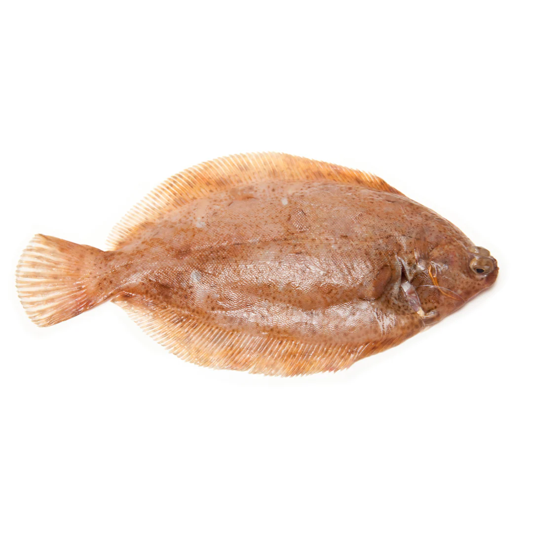 Whole Lemon Sole 500gr