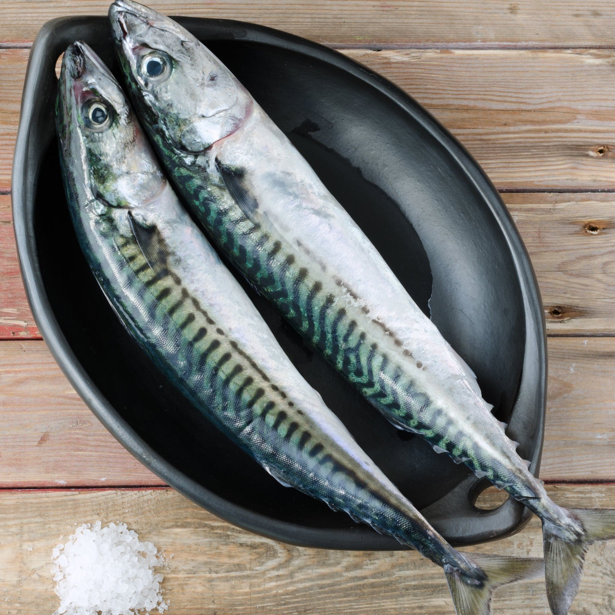 Mackerel Fish 500gr - Image 2