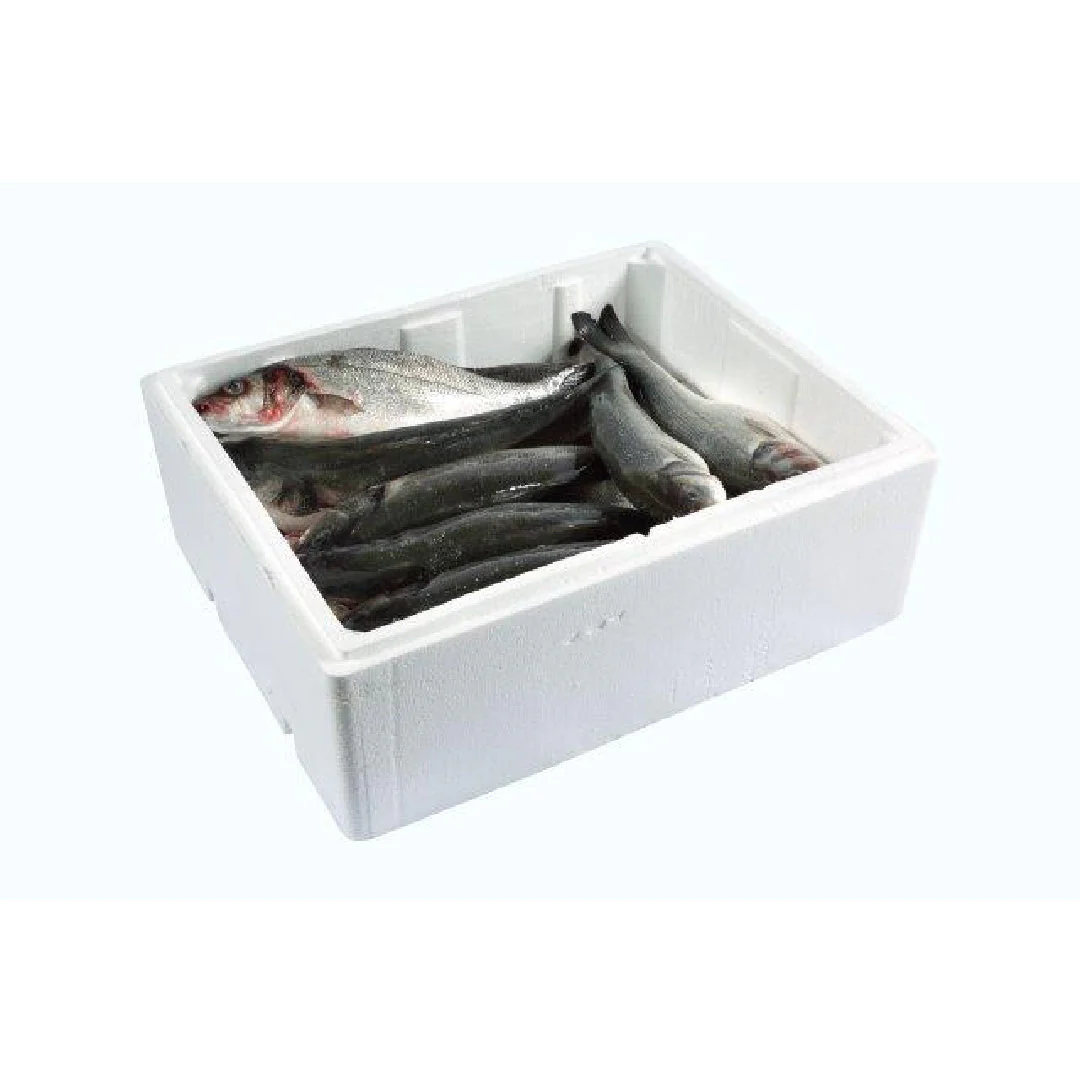 Sea Bass L Wholesale