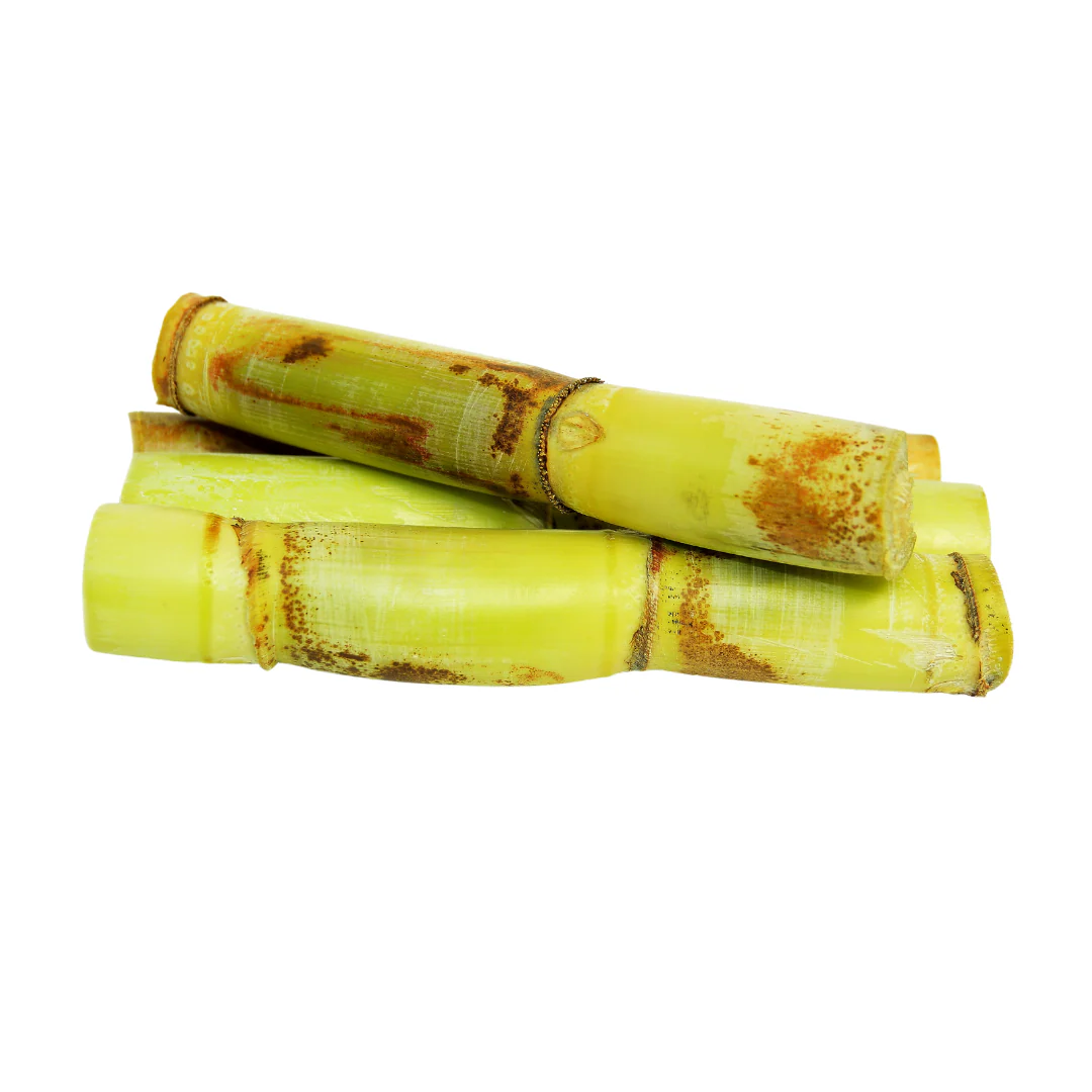 Sugarcane Stick - Green 9kg