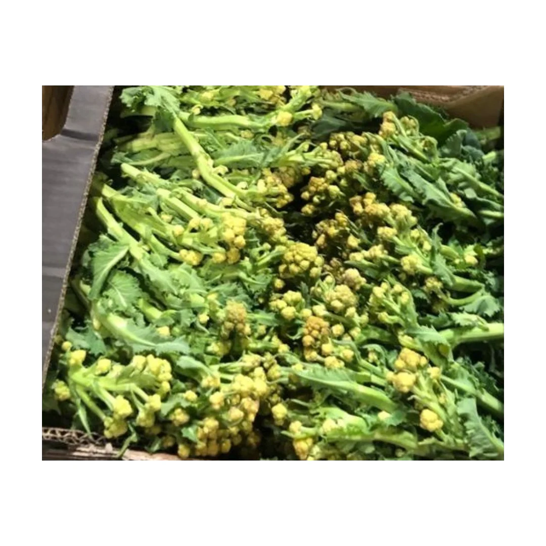 White Sprouting Broccoli 3kg