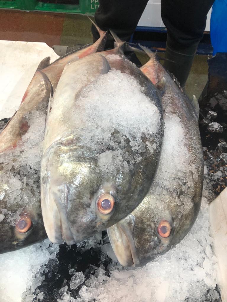 Whole Dvari 6-7kg